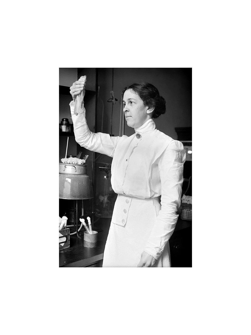1915 Alice C Evans Microbiologist Milk Pasteurization Science B&W Photo 4x6